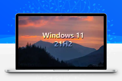 【XY】精简 中文 Windows11 Pro 21H2  22000.613  22000.1696 x64c 定制版-梦楠分享