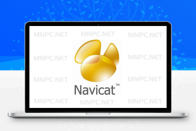 Navicat Premium （17.1.2）数据库管理工具-悦优云网络