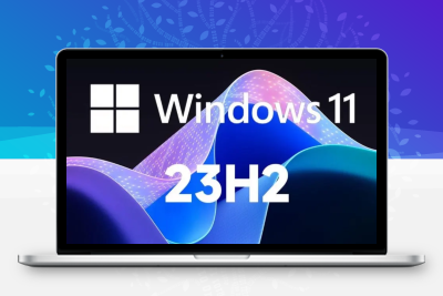 【XY】精简 中文  Windows11 Pro  23H2  22631.4169 x64c （自建账户+内置管理员）-梦楠分享