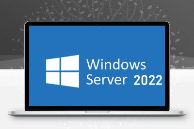 Windows Server 2022官方正式版-悦优云网络