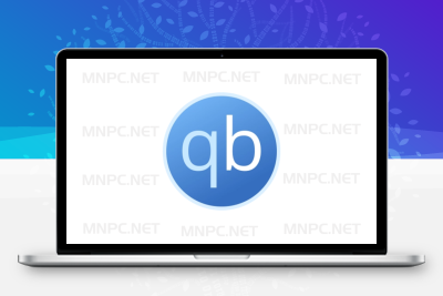 BT下载工具 qBittorrent 5.0.0 便携增强版-悦优云网络