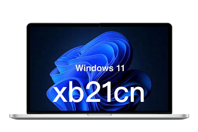 xb21cn Win11 v23H2 Build 22635.4602.1 精简版-悦优云网络